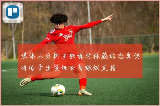 媒体人分析主教练对林葳的态度仍将给予出场机会与球权支持