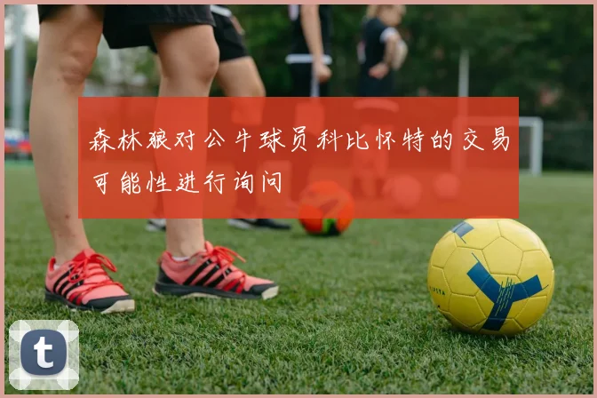 森林狼对公牛球员科比怀特的交易可能性进行询问