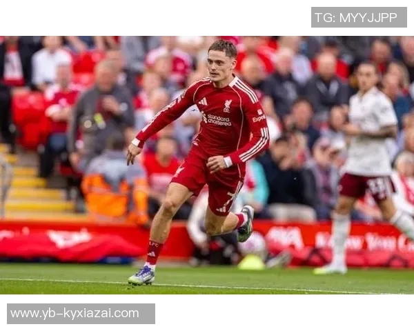 夏窗十大新星表现盘点维尔茨助攻不多舍什科进球乏力迪亚斯状态回暖 夏窗十大新星表现盘点维尔茨助攻不多舍什科进球乏力迪亚斯状态回暖